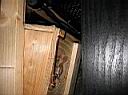 IMG_0093.JPG