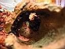 IMG_0173.JPG