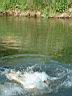 Dscf0035.jpg