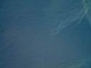Dscf0057.jpg
