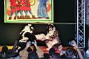 imm002_37.jpg