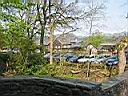 IMG_0123.JPG