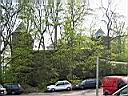 IMG_0131.JPG