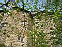 IMG_0141.JPG