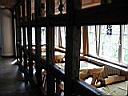 IMG_0153.JPG