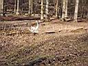 IMAG0306.JPG