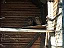 IMAG0312.JPG