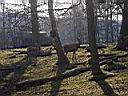 IMAG0316.JPG