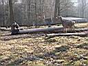 IMAG0319.JPG