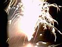IMAG0013.JPG