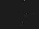 IMAG0017.JPG
