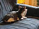 IMG_0097.JPG