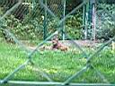 IMG_0056.JPG
