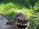 IMG_0078.JPG
