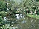 DSCF10011.JPG