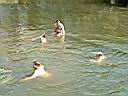 DSCF10024.JPG