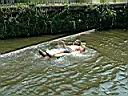 DSCF10056.JPG