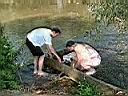 DSCF10058.JPG