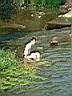 DSCF10066.JPG