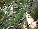 DSCF10067.JPG
