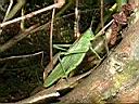 DSCF10069.JPG