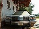 DSCF20037.JPG